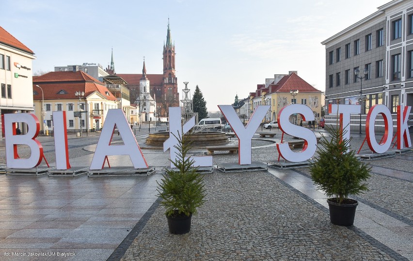 Będziemy rozdawać choinki do wyczerpania zapasów - deklarują...