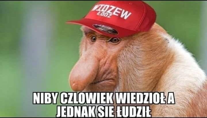 MEMY po meczu Widzew - Puszcza. Fani tęsknią za... Kaczmarkiem. Najbardziej krytyczne komentarze