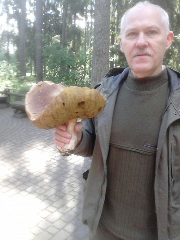 Zbigniew Kuszlewicz, leśniczy szkółkarz z Nadleśnictwa Karnieszewice znalazł wielkiego grzyba.