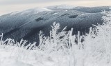 Magiczna zima w Bieszczadach na szlaku do Chatki Puchatka. Połoniny całe w śniegu [ZDJĘCIA]