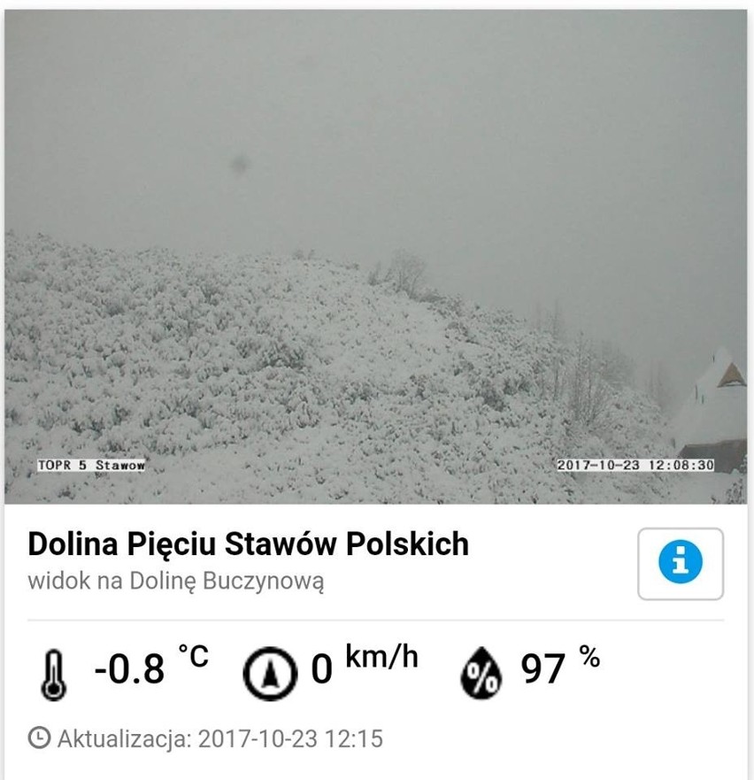 W Tatrach spadło 35 cm śniegu! TOPR ogłosił I stopień zagrożenia lawinowego