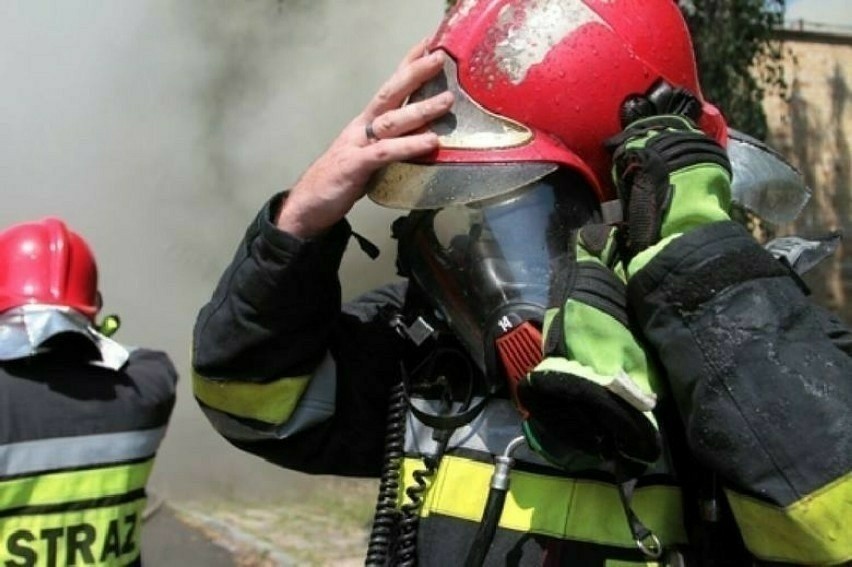 Tragiczny pożar altany w Sosnowcu. W budynku znaleziono ciało...