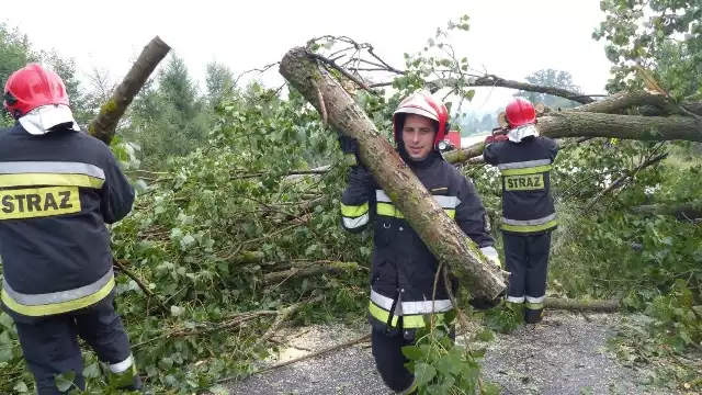 Strażacy ze Skarżyska i Suchedniowa w niedzielę mieli mnóstwo pracy. Potężna nawałnica wywróciła wiele drzew na ulicy Warszawskiej w Suchedniowie.