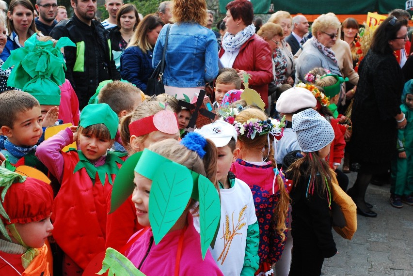 Bytom: Dożynki w Stolarzowicach