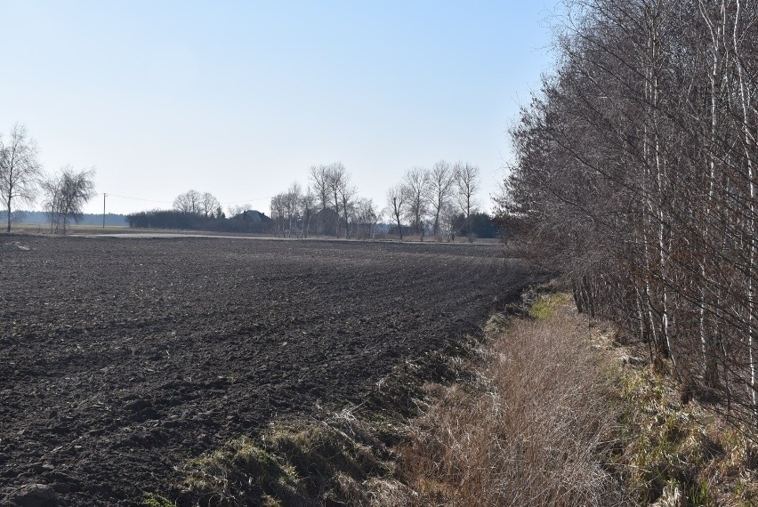 Rolnicy biją na alarm: w wyniku podwyżek gazu i oleju...