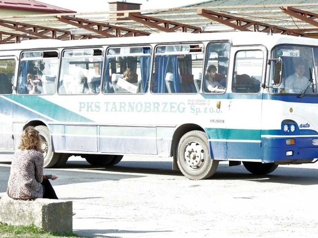 Kierowcy tarnobrzeskich autobusów PKS Orbis obawiają się zwolnień grupowych.