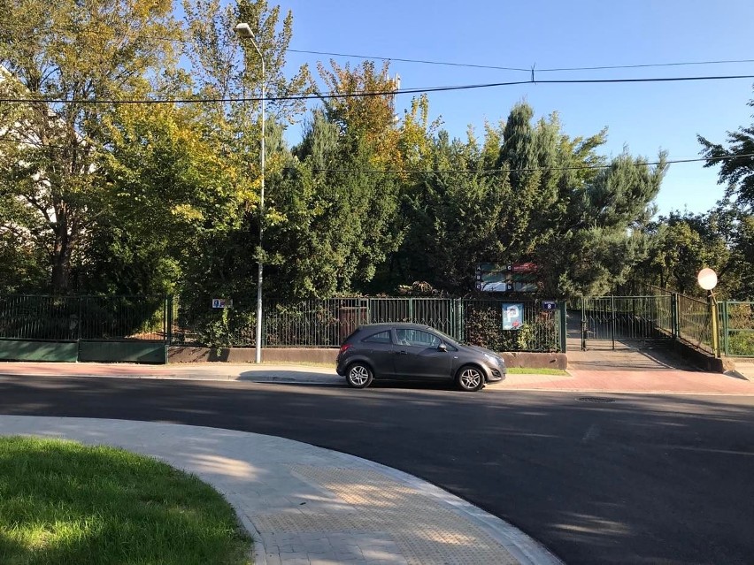 Kraków. 40 drzew pójdzie pod topór. Na ich miejscu wyrośnie wjazd i parking do nowego budynku Straży Miejskiej