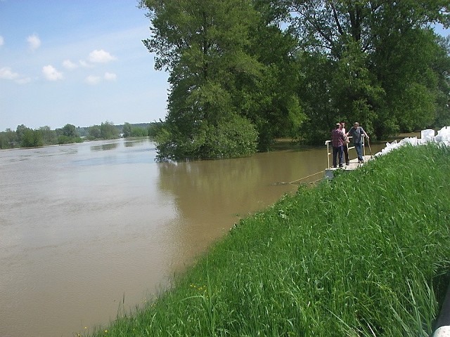 Rozlana Wisła w okolicy Słońska Dolnego w gm. Aleksandrów Kujawski