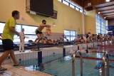 WOŚP 2017. Owsiakowe Zawody pływackie w Żarach