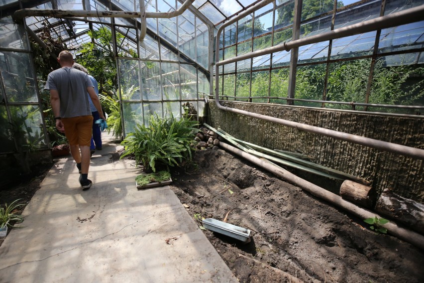 Pracownicy Egzotarium dbają o to, by rośliny zostały...