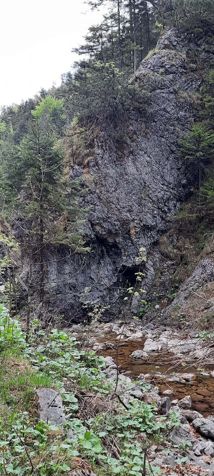 Tatry. Dolina Białego i Sarnia Skałka - warto tam iść teraz. Jest pięknie, a do tego całkowicie pusto 