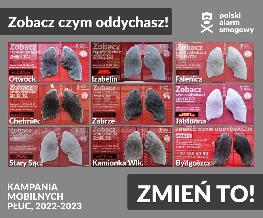 Podsumowanie czwartej edycji kampanii "Zobacz czym oddychasz. Zmień to". Mobile płuca odwiedziły dziewięć województw i zrobiły się czarne