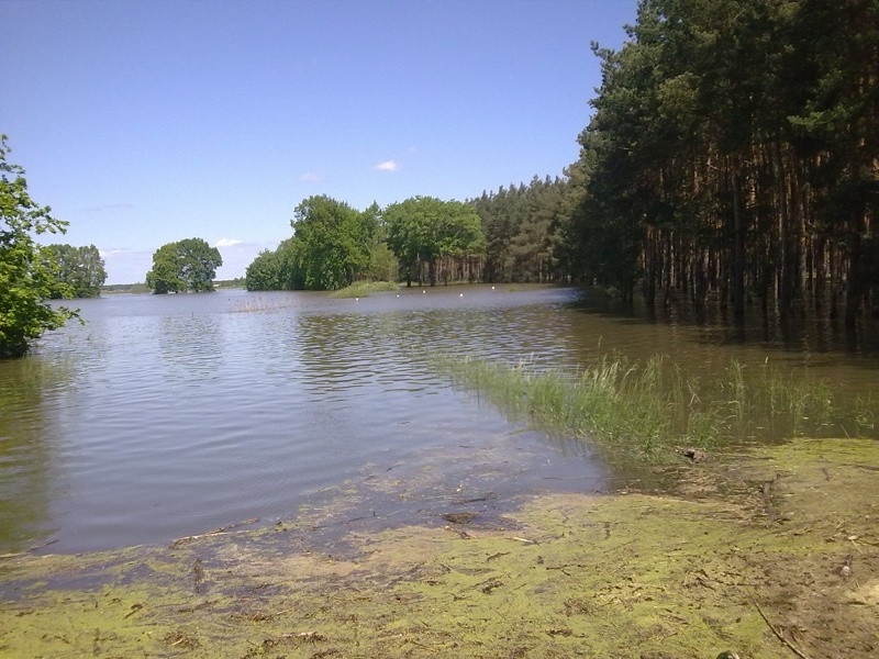 Droga Siedlisko-Przyborów (26 maja, ok. godz. 12:00)