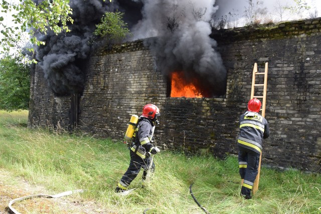 Podpalenie było najpewniej przyczyną groźnego pożaru budynku powojskowego na byłym poligonie koło Bornego Sulinowa. Pożar gasiły m.in. samoloty typu dromader. Pożar zauważono we wtorkowe popołudnie. Palił się budynek magazynowy na dawnej strzelnicy poligonowej w lesie koło Bornego Sulinowa. Po wyjeździe Rosjan użytkowali go jakiś czas leśnicy, którzy mieli tu swój skład paszy, ale w ostatnich latach obiekt stał pusty. Ktoś więc urządził sobie tutaj składowisko starych opon. I to one najpewniej zostały podpalone. Ogień szybko objął cały magazyn, a płonąca guma dawała gęsty, czarny dym. Pożar gasiło kilka jednostek straży pożarnej zawodowej i ochotniczej, a z uwagi na trudny dostęp w lesistym terenie, leśnicy ściągnęli także do akcji samolot przeciwpożarowy typu dromader. Kilka wodnych nalotów z małej wysokości pozwoliło ugasić ogień. 