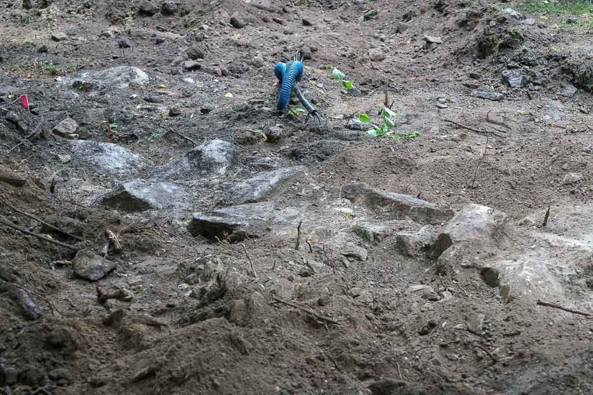 Nowy Sącz: Park im. Styczyńskiej kryje zamkowe skarby 