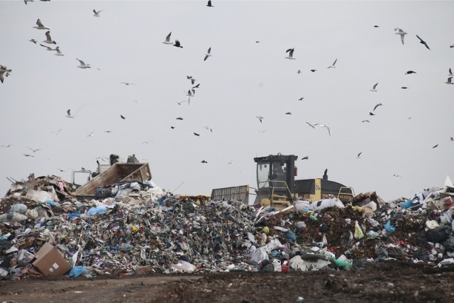 Opole ustaliło z firmą Remondis wysokość stawki za zagospodarowanie tony odpadów komunalnych