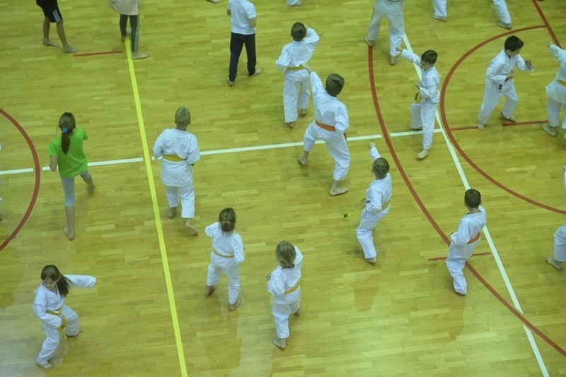W sobotę w Toruniu odbyły się Światowe Dni Karate „100 Kata...