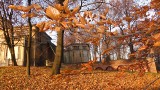 Jesień w Krzeszowicach. Urocze zabytki skąpane w parkach i kolorowych liściach