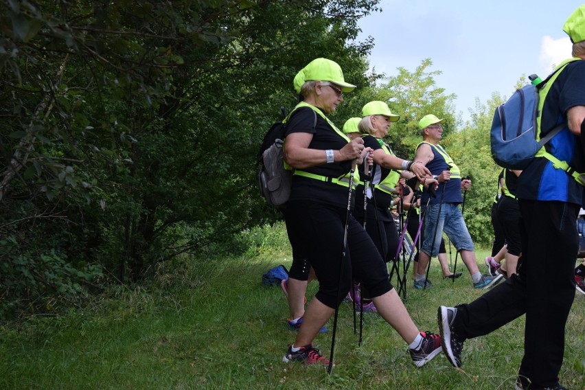 Marsz nordic walking w Zawierciu