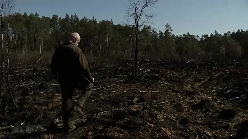 Leśnicy ostrzegają przed ryzykiem pożaru w lasach