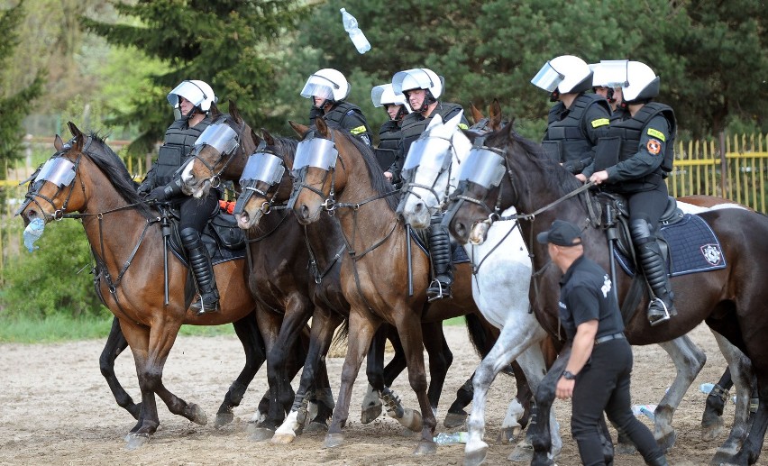 Policjanci konni biorą udział m. in. w działaniach oddziałów...