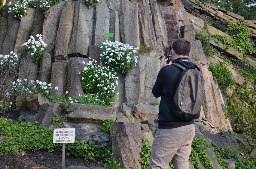 Wrocław: Otwierają Ogród Botaniczny. Będzie można wybrać się na spacer (CENY BILETÓW, ZDJĘCIA)