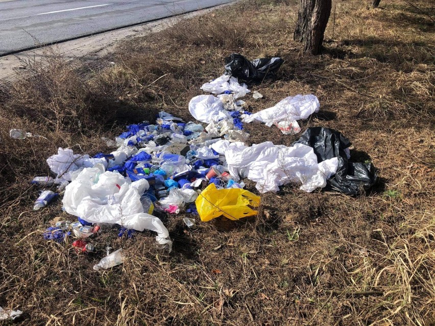 Poznań: Ktoś porzucił odpady medyczne w lesie przy ul. Chemicznej. Sprawcę odnaleźli strażnicy miejscy