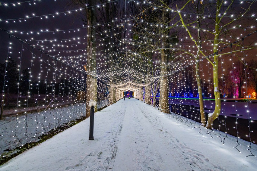 Zdjęcie z parku iluminacji realizowanego przez wrocławską...