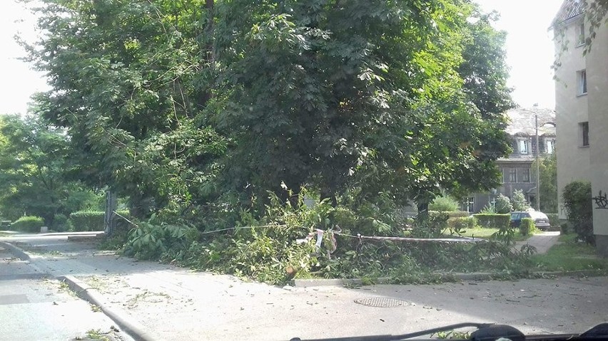 Ulica Racjonalizatorów w Miechowicach