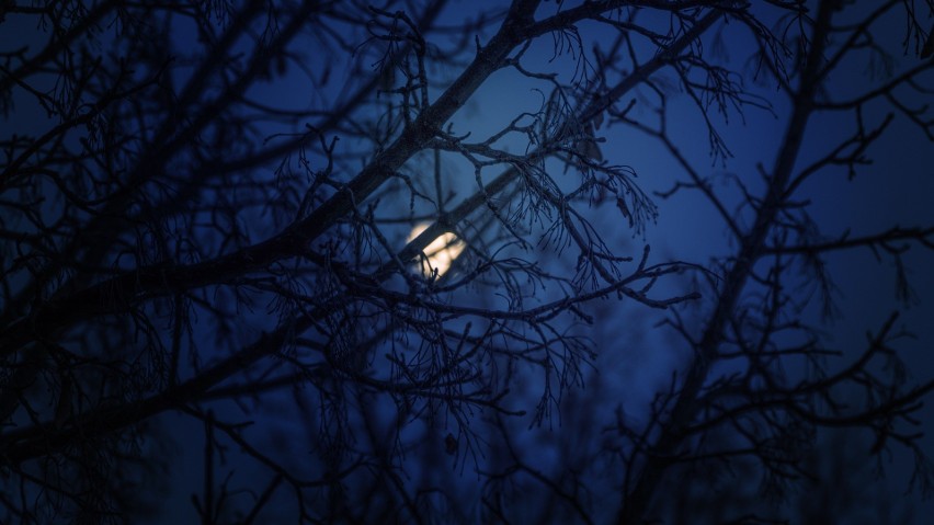 Niebieski Księżyc na niebie już w weekend. Ostatni raz mogliśmy go oglądać 76 lat temu! Kiedy i gdzie można będzie go obserwować? 1.11.2020