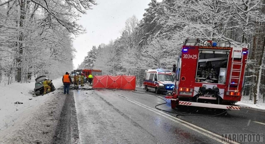 Śmiertelny wypadek na DK46 w okolicy Dąbrowy.