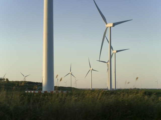 Pod Golicami na 410 ha Acciona Energy Poland postawi 19 masztów o wysokości 100 metrów, na których zostaną zamontowane turbiny.