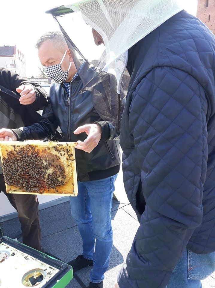 - Nasze pszczoły są naszą dumą - mówi dyrektor...