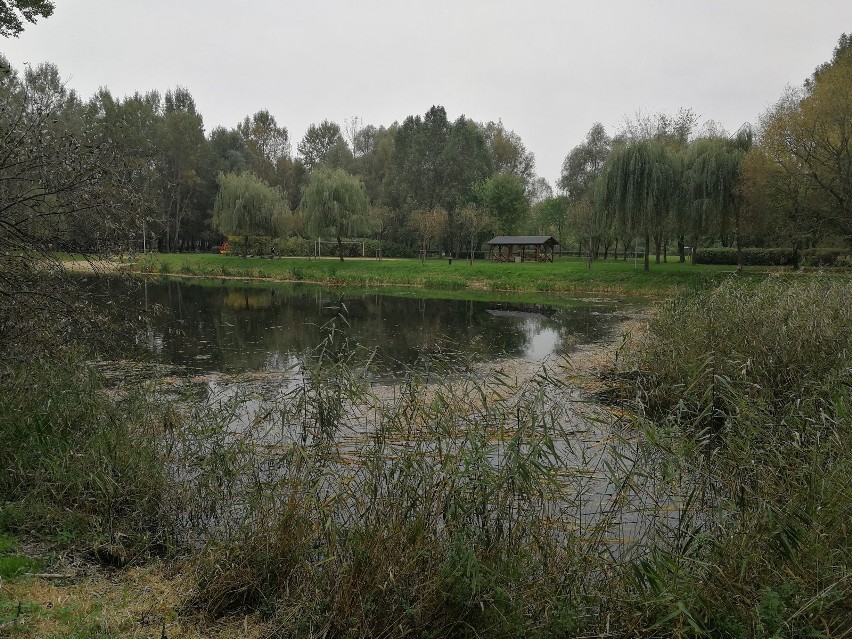 Na zdjęciu - Park Miejski na Bydgoskim Przedmieściu