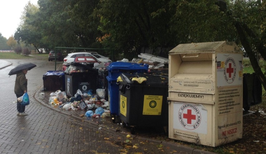 - Od kilku dni nie sposób wyrzucić śmieci. A w okolicy...