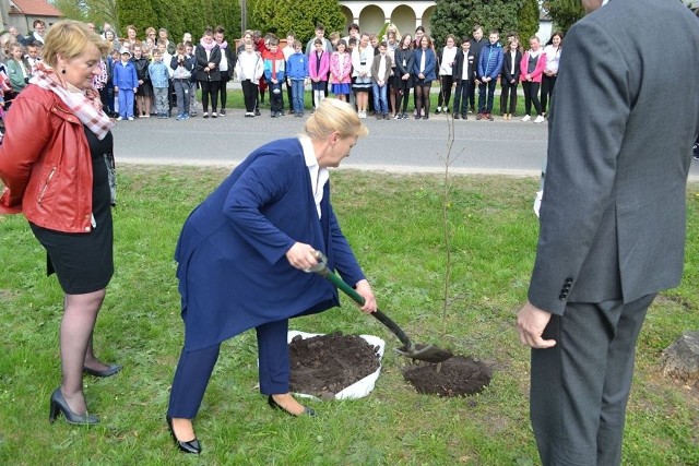 W Starogrodzie posadzono Dąb Stulecia Niepodległości Polski. Gmina włączyła się w ten sposób do obchodów okrągłej rocznicy odzyskania przez kraj wolności. W uroczystym zasadzeniu dębu - w alejce na przeciwko kościoła, w Starogrodzie uczestniczyło wiele osób, a poświęcił go ksiądz proboszcz parafii Starogród. Uczniowie Szkoły Podstawowej w Starogrodzie przedstawili okolicznościowy program uczczenia tej ważnej rocznicy. Wójt, sołtys Starogrodu oraz dyrektor szkoły symbolicznie posadzili Dąb Niepodległości. Z kolei reprezentant wojewody, starosta chełmiński i wójt odsłonili tablicę pamiątkową. W trakcie uroczystości odczytano również list wojewody. Drzewo, które już rośnie w Starogrodzie, posadzono w ramach wspólnej inicjatywy wojewody oraz Regionalnej Dyrekcji Lasów Państwowych w Toruniu. Stres. Kiedy napędza, a kiedy wyniszcza?/DDTVN