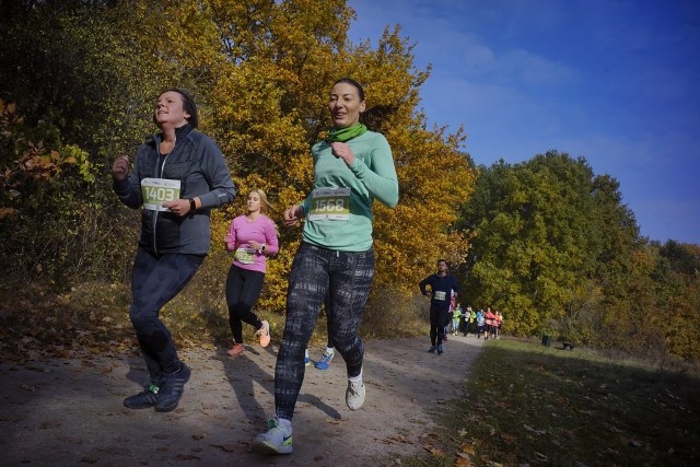 City Trail w Poznaniu: Ponad 1000 osób pobiegło wokół Rusałki