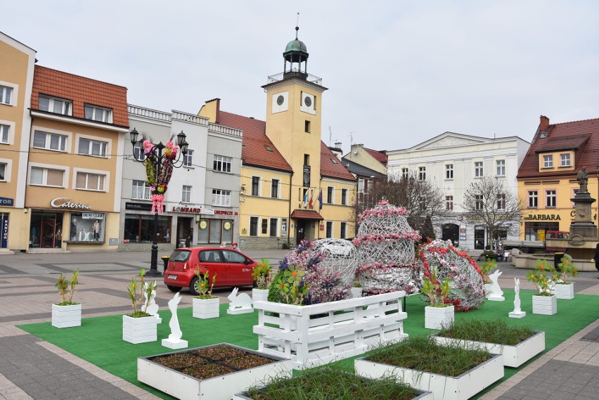 Rybnik. Łąka kwiatowa na Wielkanoc na rynku. A w weekend...