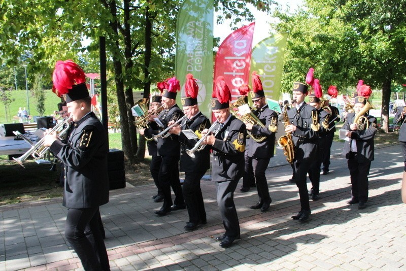 Festiwal Ludzi Aktywnych 2020 w Dąbrowie Górniczej miał...