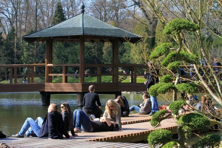 Ogród Japoński  znajduje się we wrocławskim Parku...