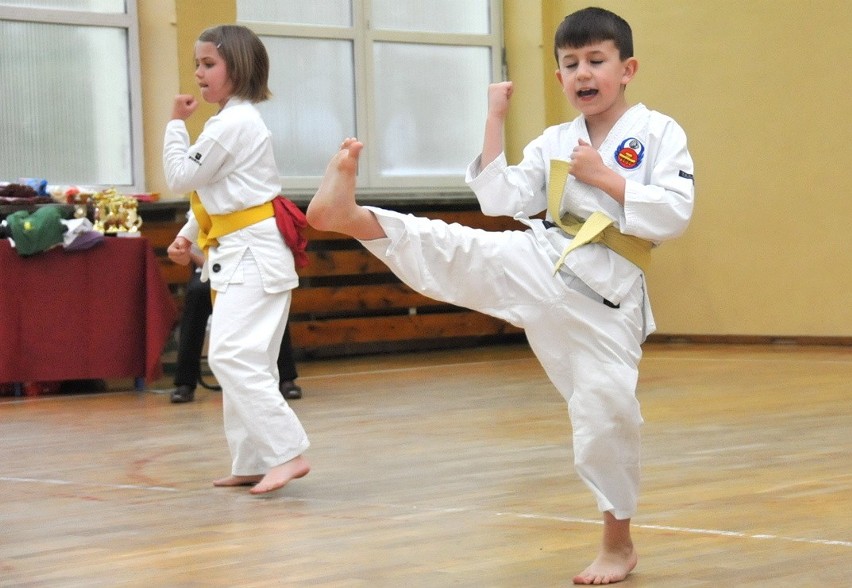 Pokazy technik karate były oklaskiwane przez publiczność.