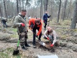 Posadzili kawał lasu i pomogli strażakom z OSP Storkowo (gmina Grzmiąca)
