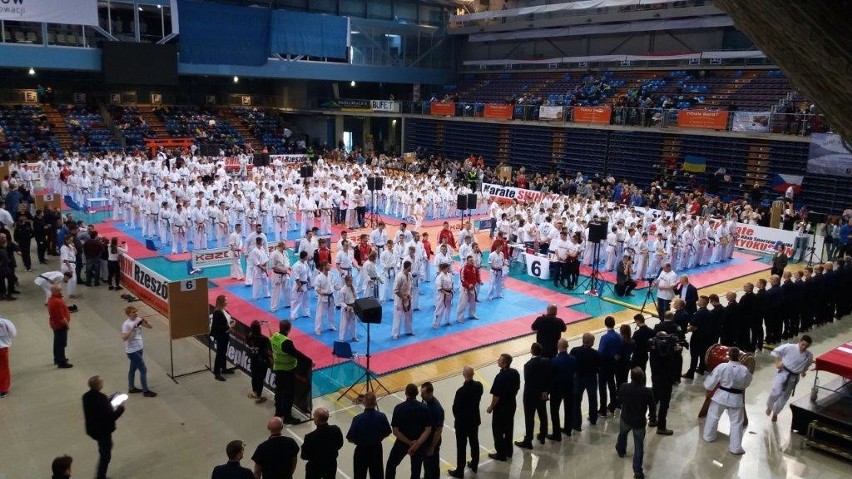 Kieleccy karatecy na podium w Rzeszowie