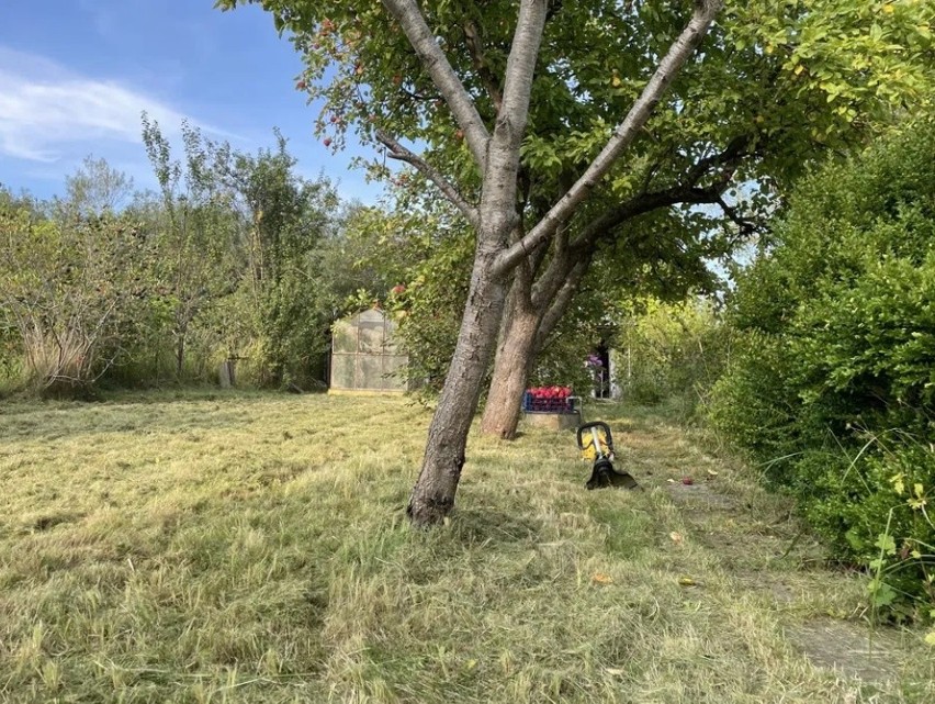 Ogródek działkowy ROD Aster

10 000 zł