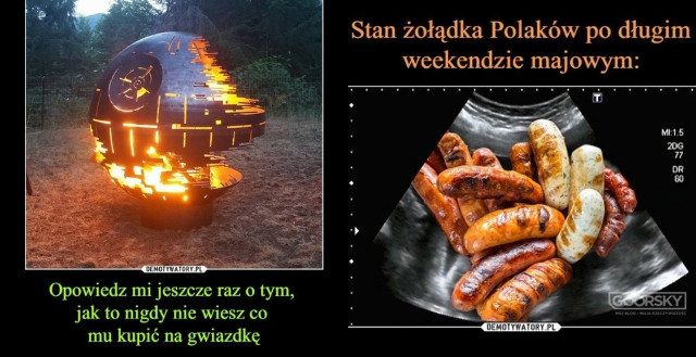 Międzynarodowy Dzień Grilla 2026. Zobacz najlepsze przepisy na dania z grilla oraz najśmieszniejsze memy o grillowaniu!