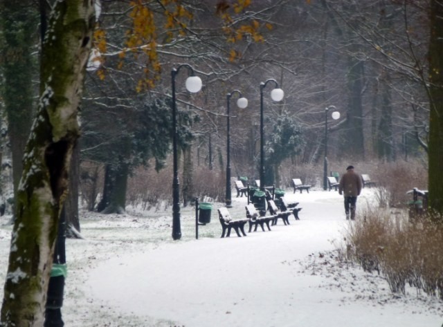 Zimowy wtorek w Poznaniu