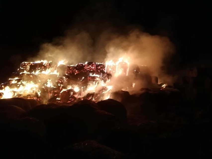 Ogromny pożar w gminie Ćmielów. Spłonęło kilkaset bel słomy. Strażacy walczyli z ogniem całą noc [ZDJĘCIA]