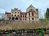 Nawiedzony pałac na sprzedaż! W XIX-wiecznych wnętrzach straszy duch zrozpaczonej wdowy. Dolnośląski zabytek popada w ruinę