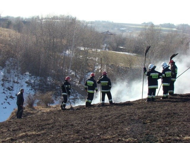 Wtorkowy pożar nieużytków w Podszkodziu.