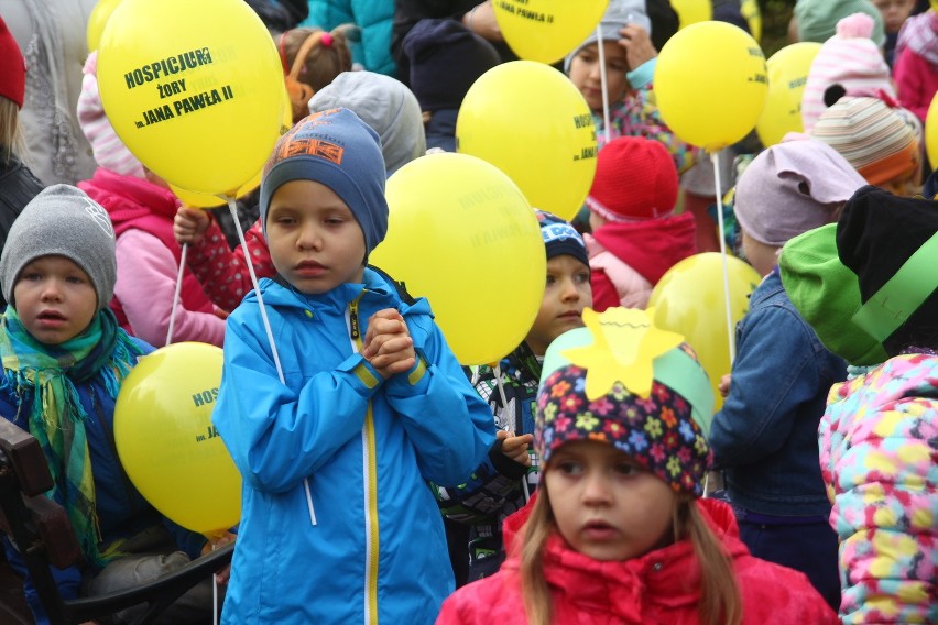 W Żorach zasadzili prawie 1000 żonkili, tworząc "Pole Nadziei" przy hospicjum